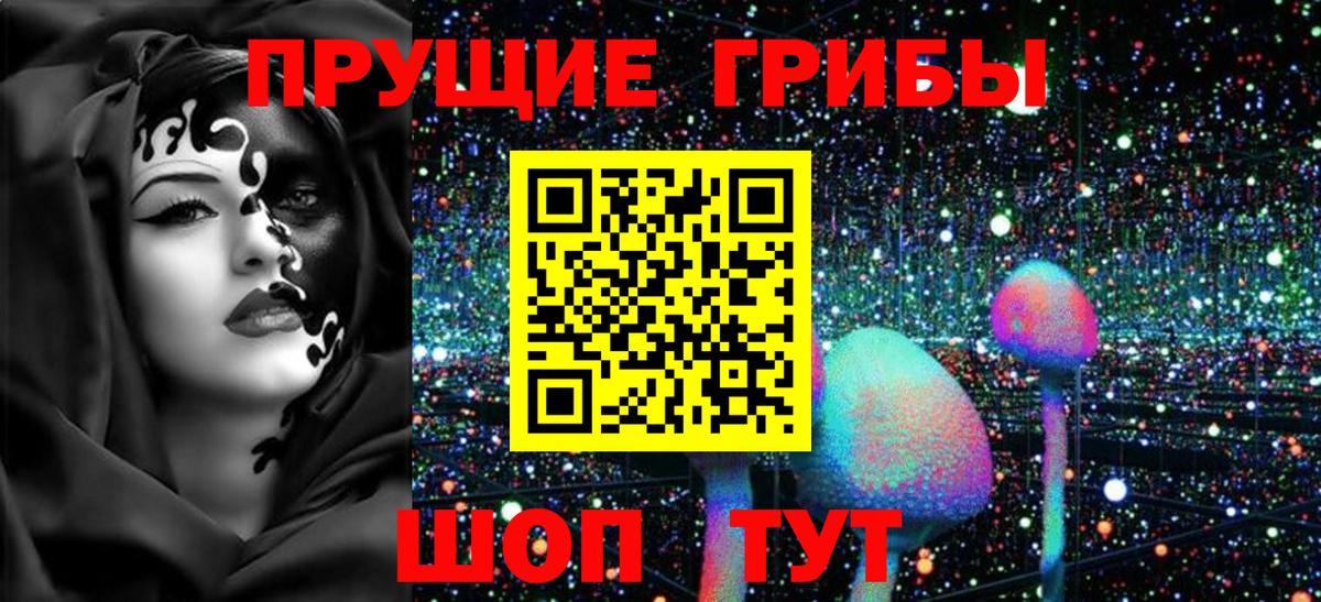Галлюциногенные грибы ЛСД  Вход с VPN  Отрадное  Псилоцибиновые грибы Psilocybine cubensis 