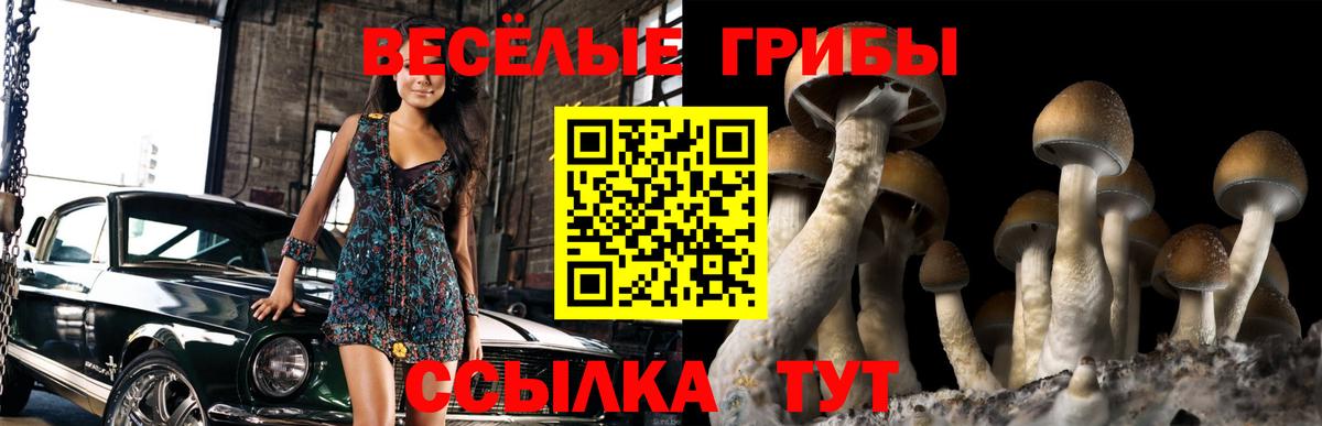 Псилоцибиновые грибы прущие грибы Отрадное